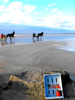 W tokonoma sur une plage de normandie