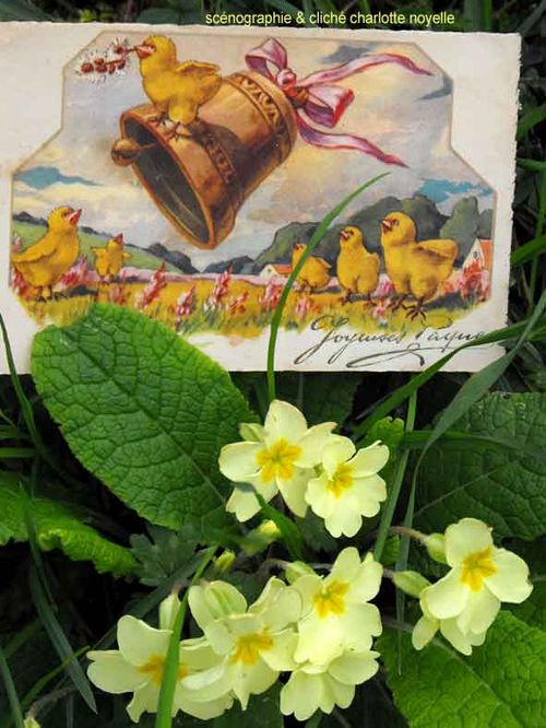 Ww 2014_0329PremiersEssais0088