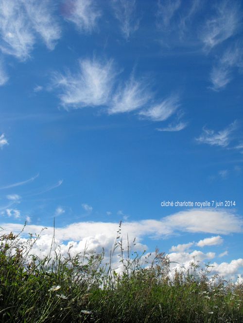 Ww 2014_0607PremiersEssais0003