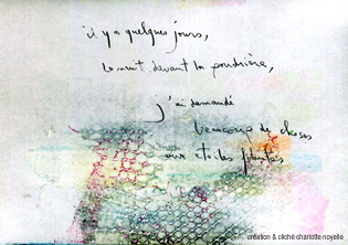 Ww apollinaire 1