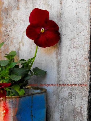 Ww 2014_0430PremiersEssais0015